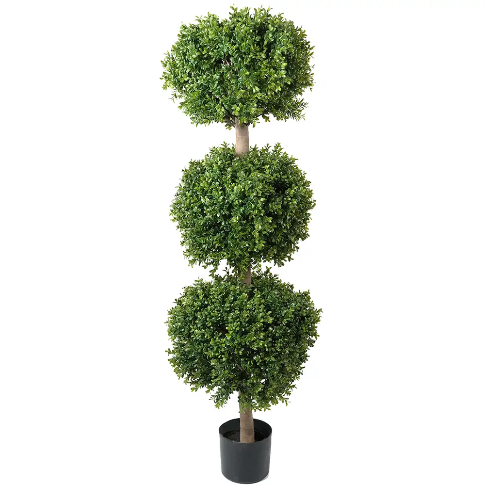 Mr Plant Buxbom 140 cm