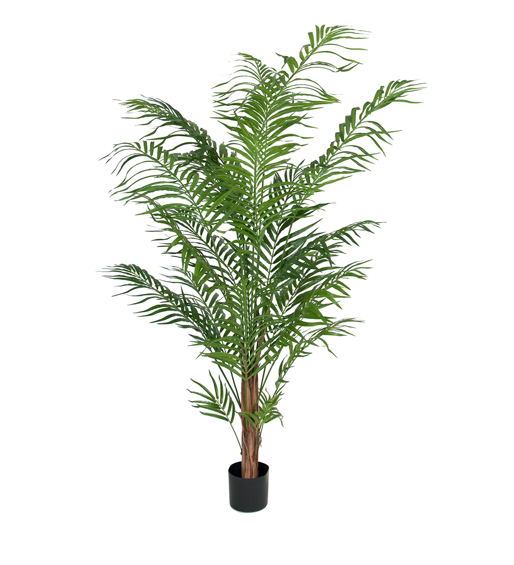 Mr Plant Arekapalme 180 cm