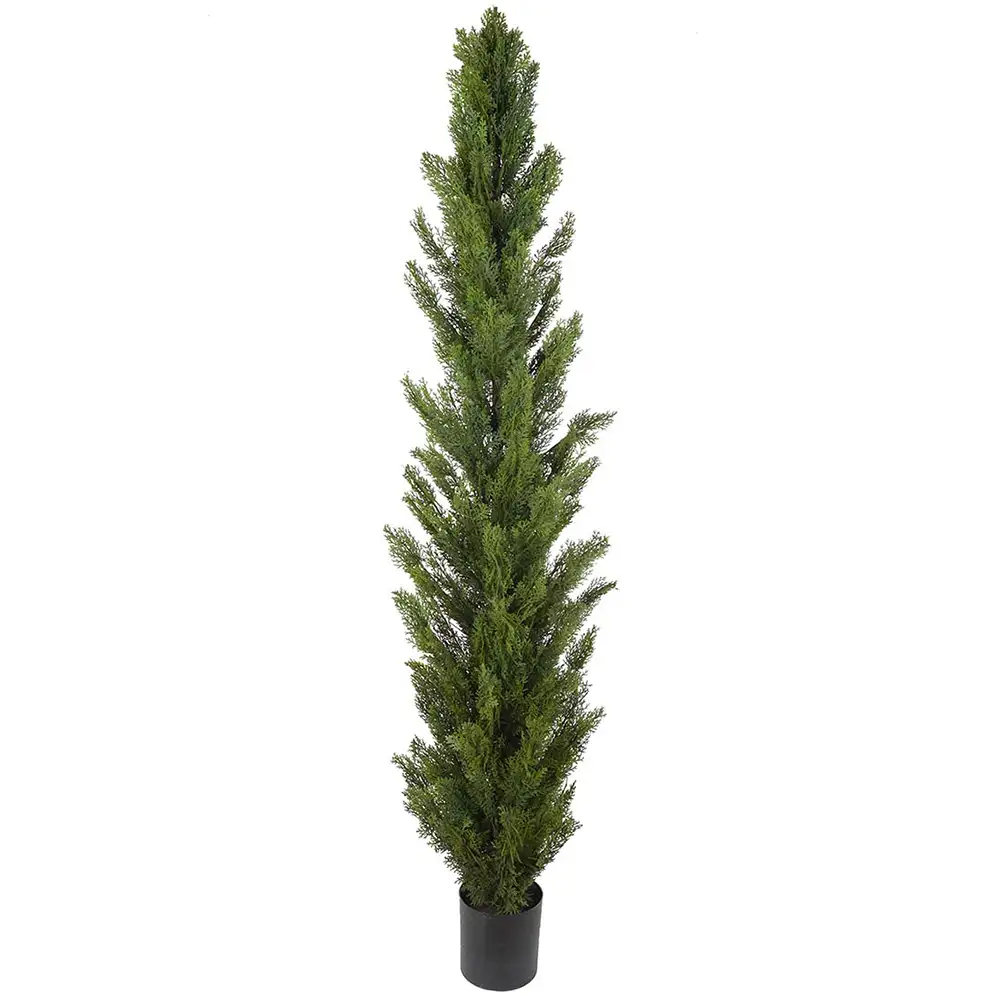 Mr Plant Cypres Træ 210 cm