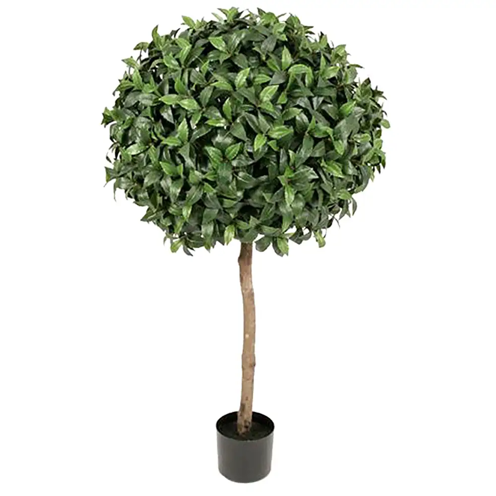 Mr Plant Lagerbladstræ 135 cm