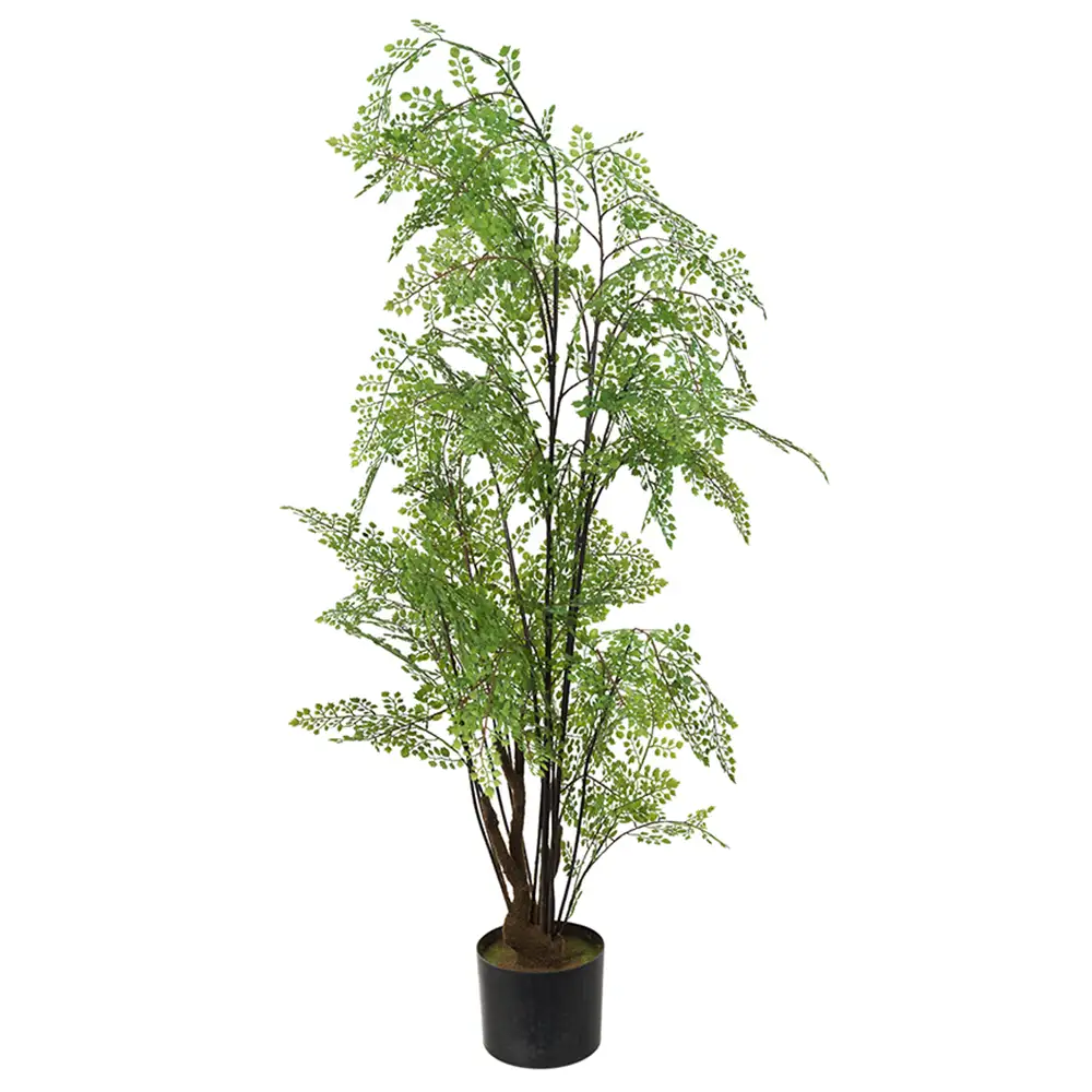 Mr Plant Adiantum Træ 100 cm