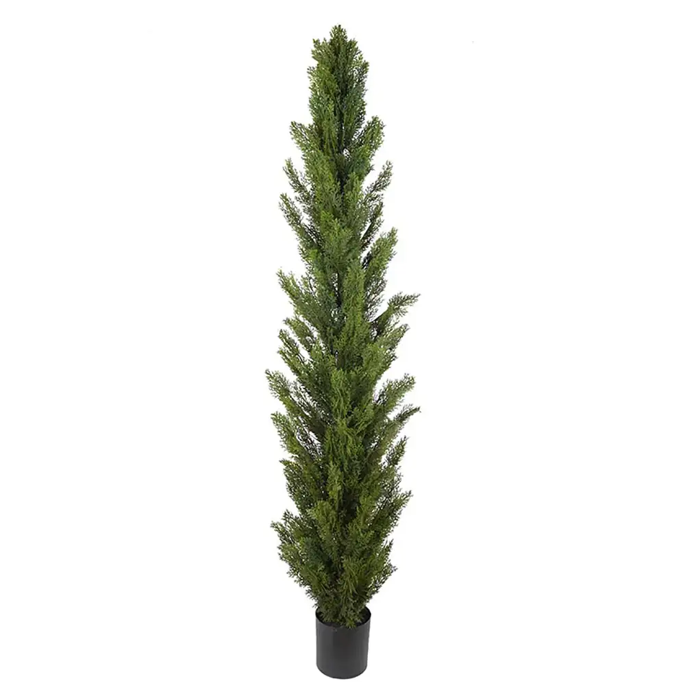 Mr Plant Cypres Træ 120 cm