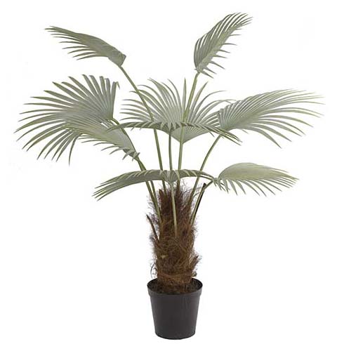 Mr Plant Palme 150 cm