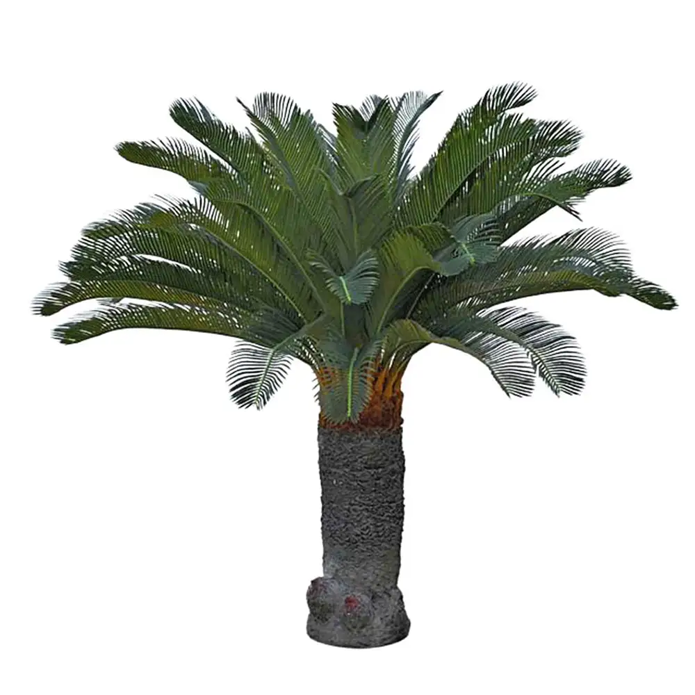 Mr Plant Cycas Palme 130 cm