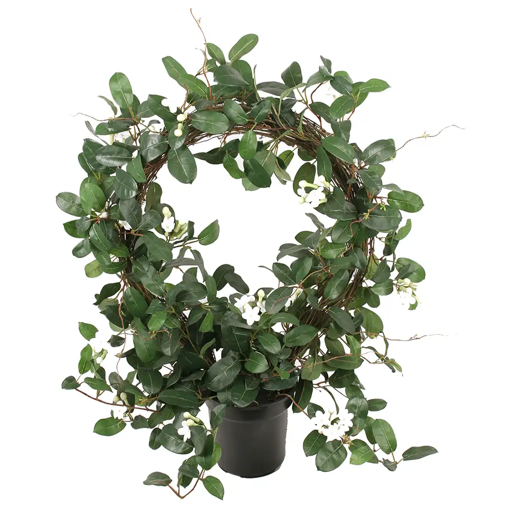 Mr Plant Stephanotis Potteplante 75 cm Hvid