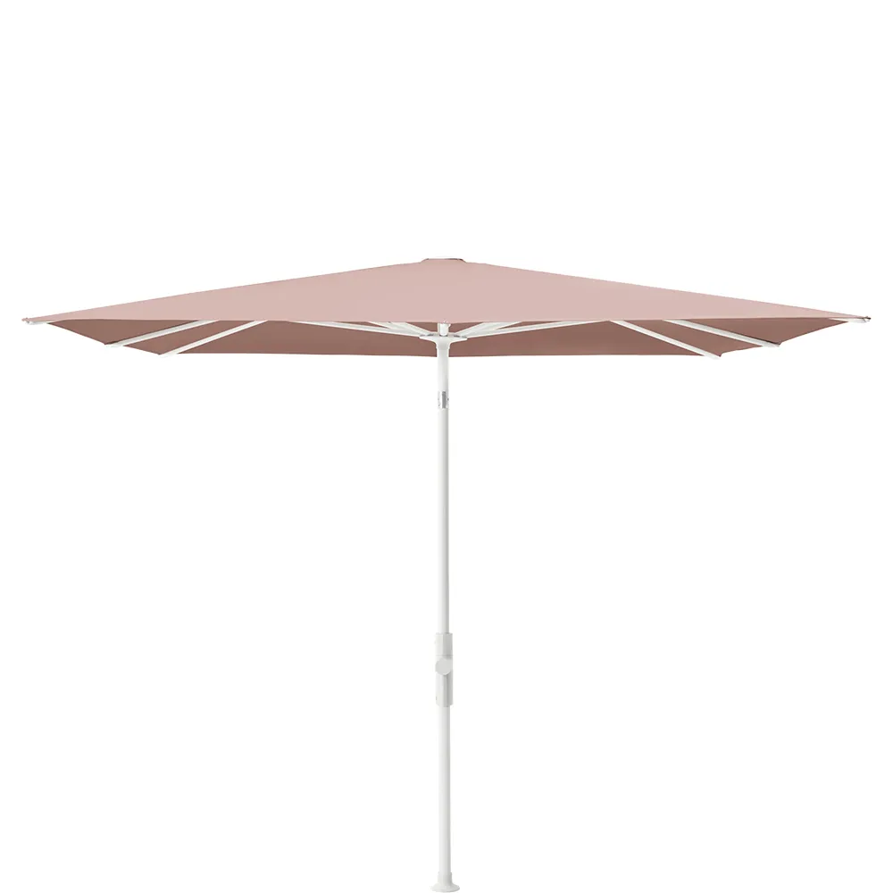 Parasol