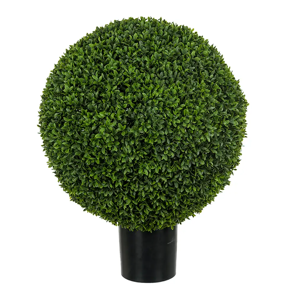 Mr Plant Buxbom i potte 65 cm