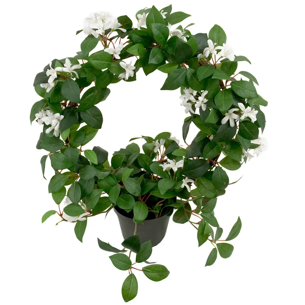 Mr Plant Jasmin Potteplante 45 cm Hvid