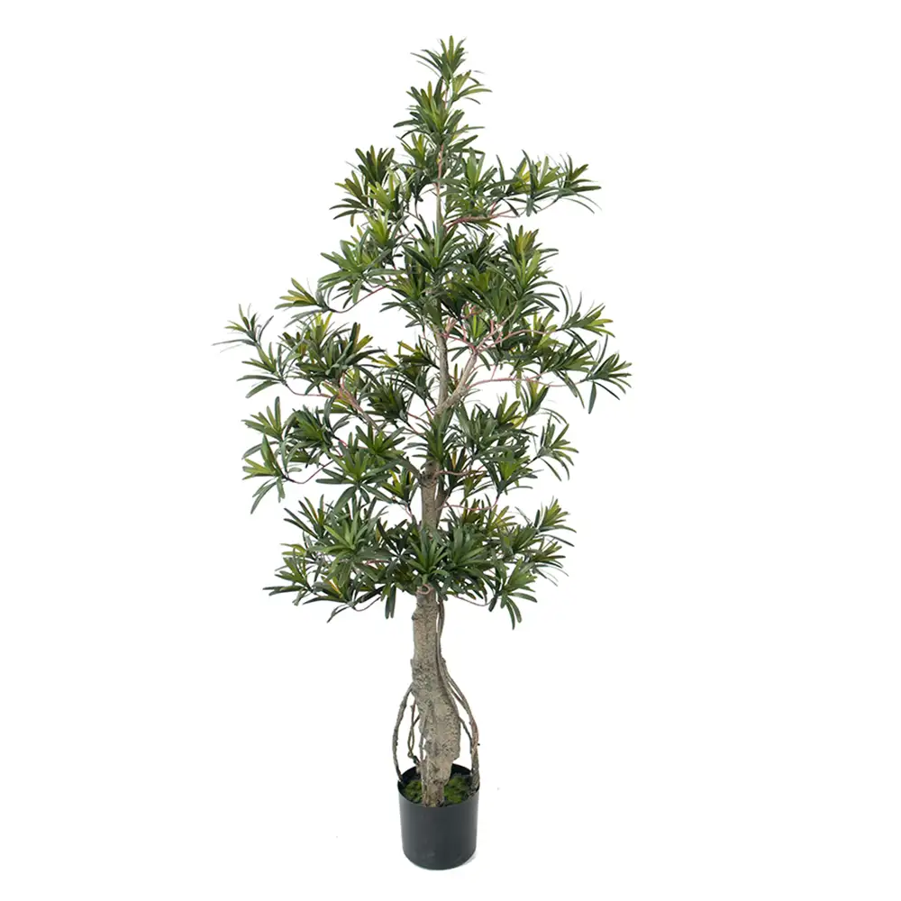 Mr Plant Podocarpus Træ 120 cm