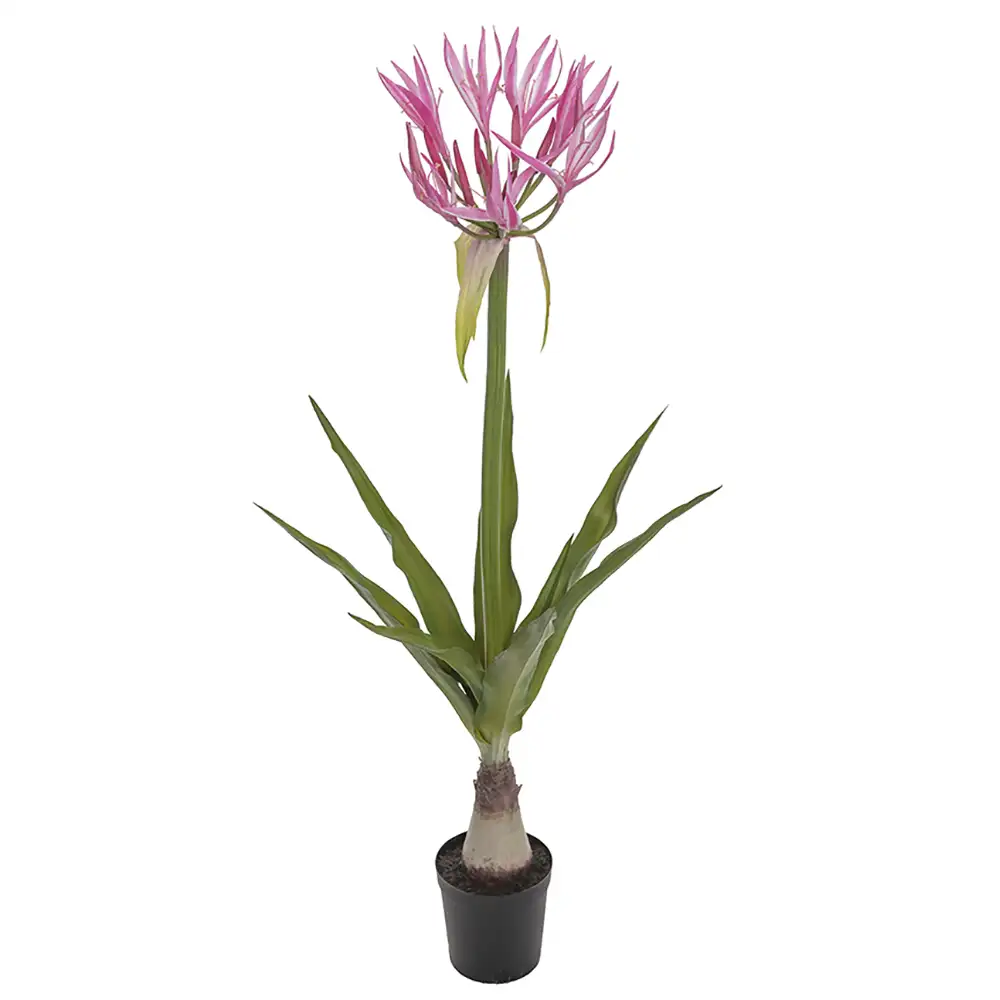 Mr Plant Nerine Potteplante 125 cm Rosa