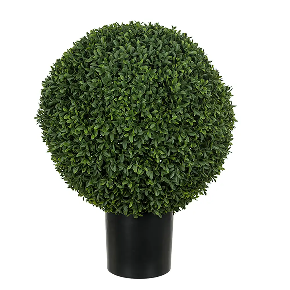 Mr Plant Buxbom i potte 40 cm